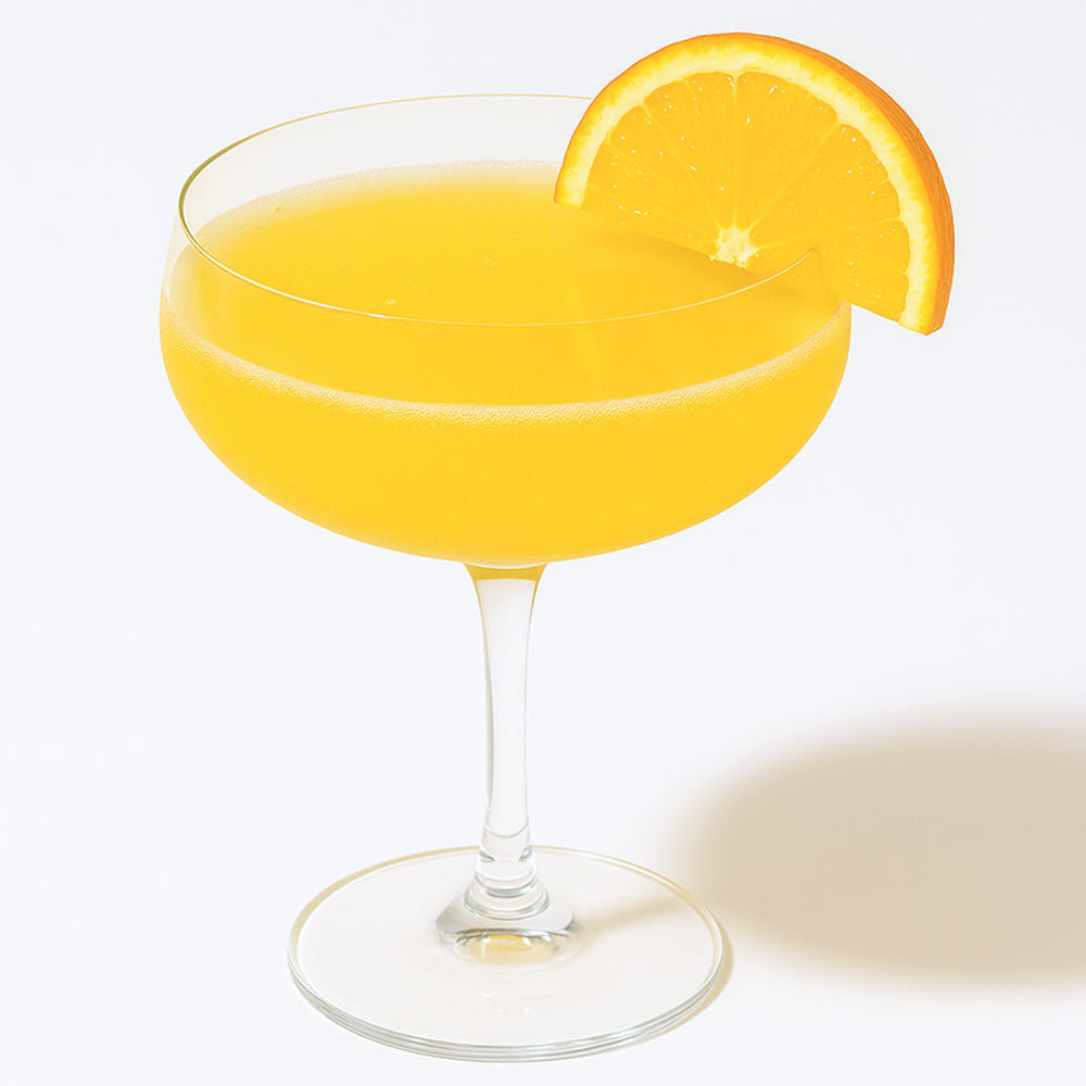 JO Mimosa - Lifestyle 5