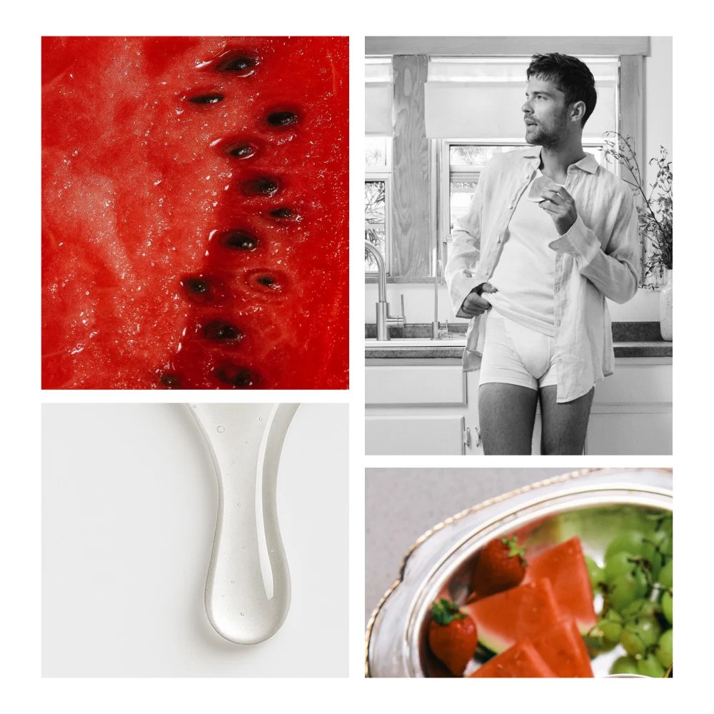 Succulent_Watermelon_6_878ac7f3-329a-496f-a09b-a9fc6b99781b