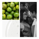 Mojito6