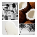 CoconutHybrid6